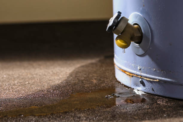 Best Flooded house restoration  in Pleasant Valley, WV