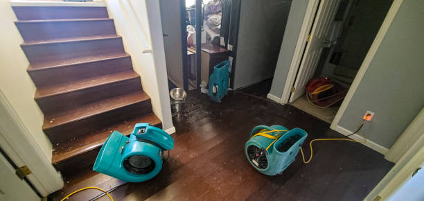 Best Basement water damage restoration  in Pleasant Valley, WV