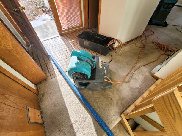 Best Water damage restoration insurance claims  in Pleasant Valley, WV