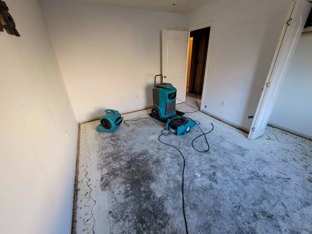 Best Water damage contractors near me  in Pleasant Valley, WV