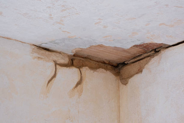 Best Water damage restoration near me  in Pleasant Valley, WV