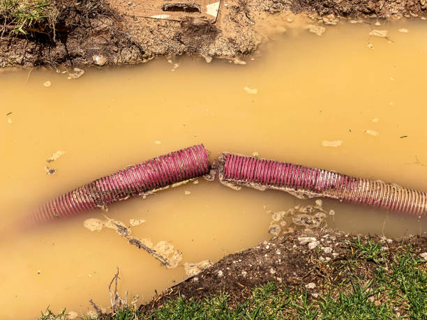 Best Mold removal after water damage  in Pleasant Valley, WV